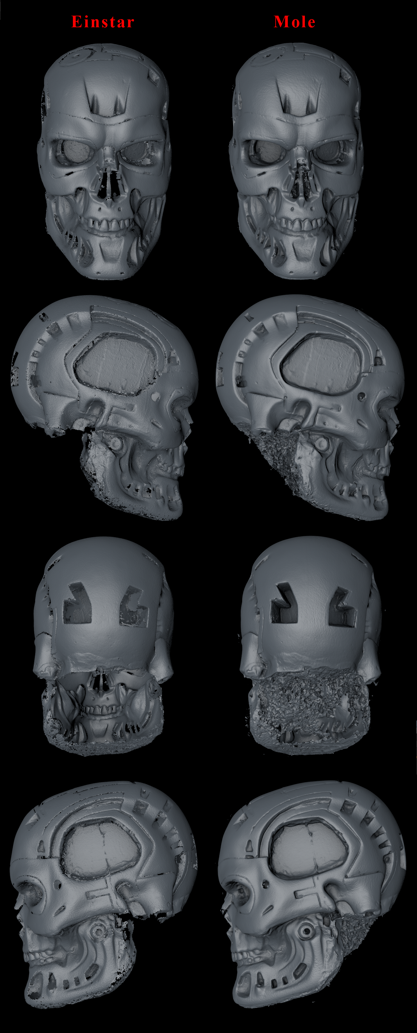 Foam Skull - Einstar vs Mole - 001.png