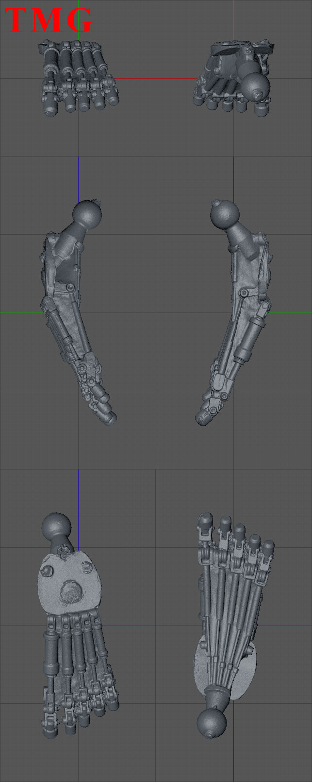 Foot-T1-L.jpg