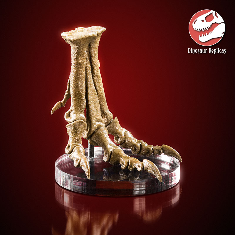 foot_rex_deviant_01a_by_strick67-dcnfjvu.jpg