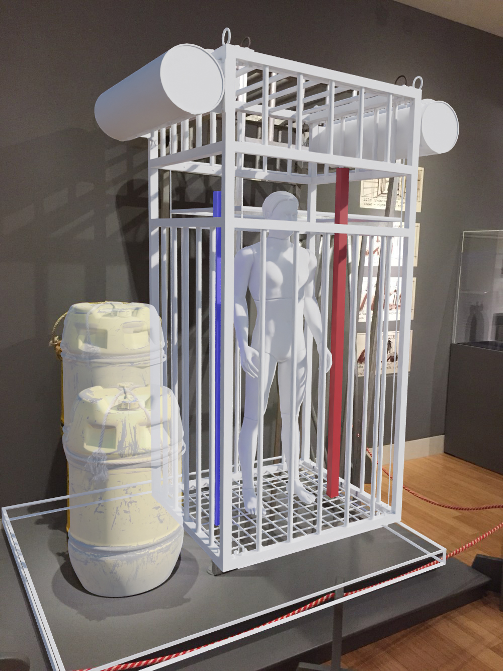 Fspy cage 8.jpg