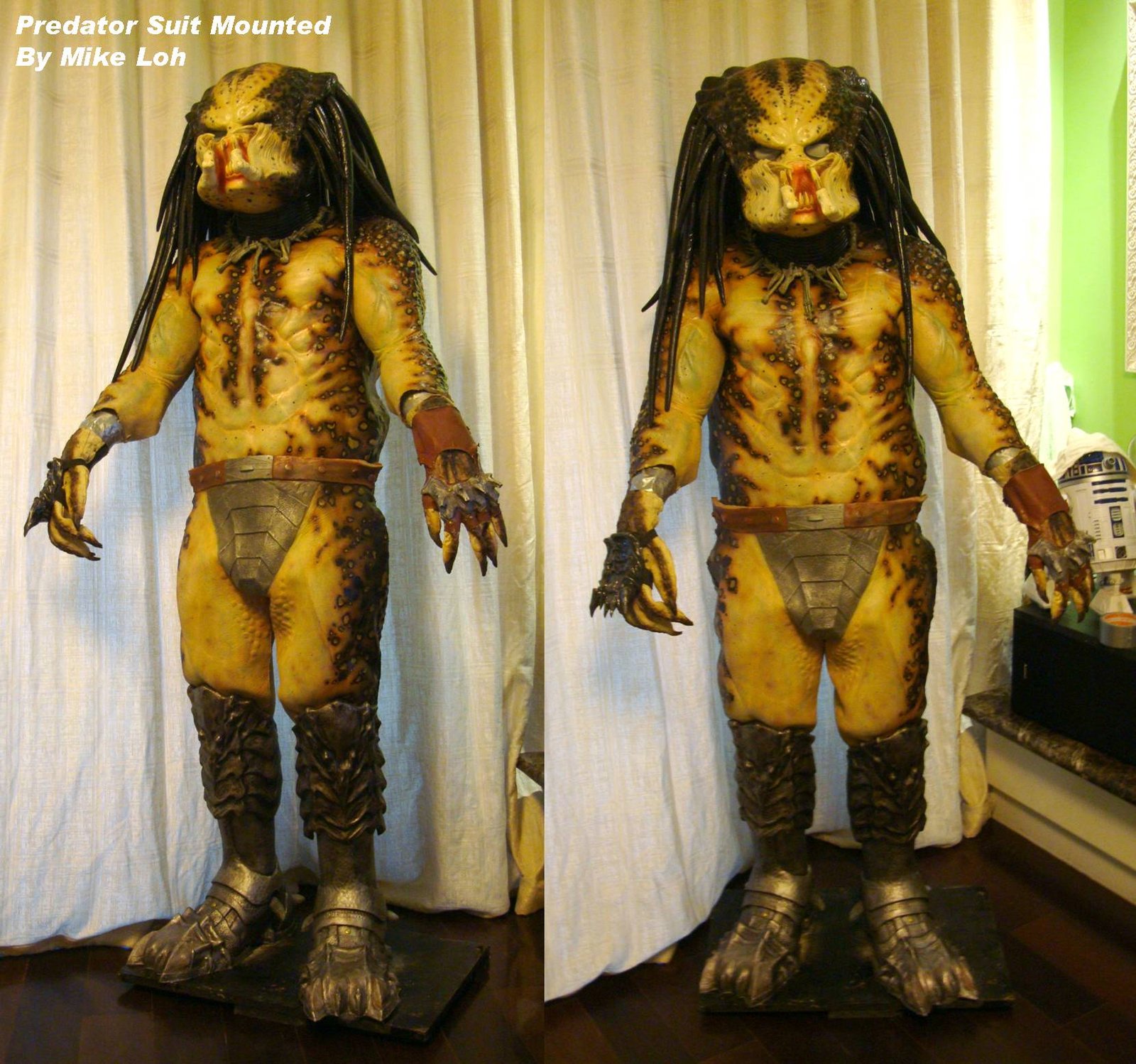 Full_Predator_Suit_Mounted_by_MichaelLoh.jpg