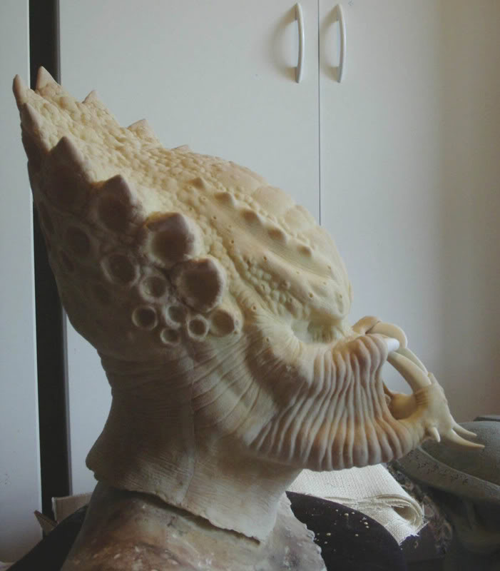 fullhead4.jpg