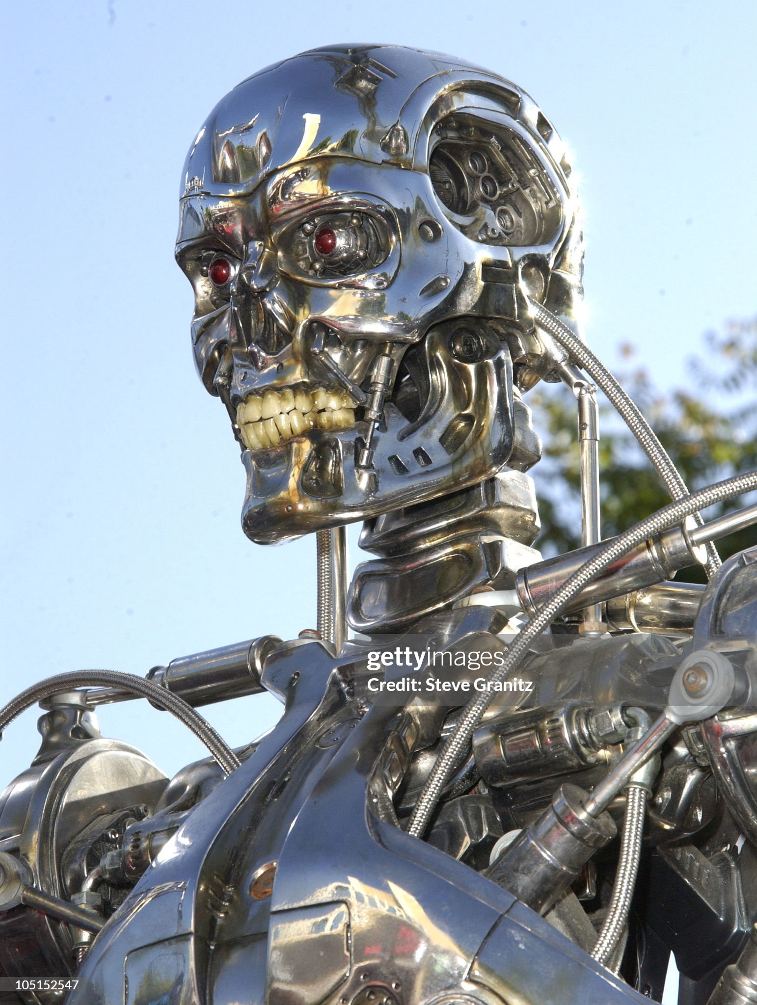 gettyimages - Terminator - Terminator 3 - Rise of the Machines - Los Angeles Premiere - Mann V...jpg