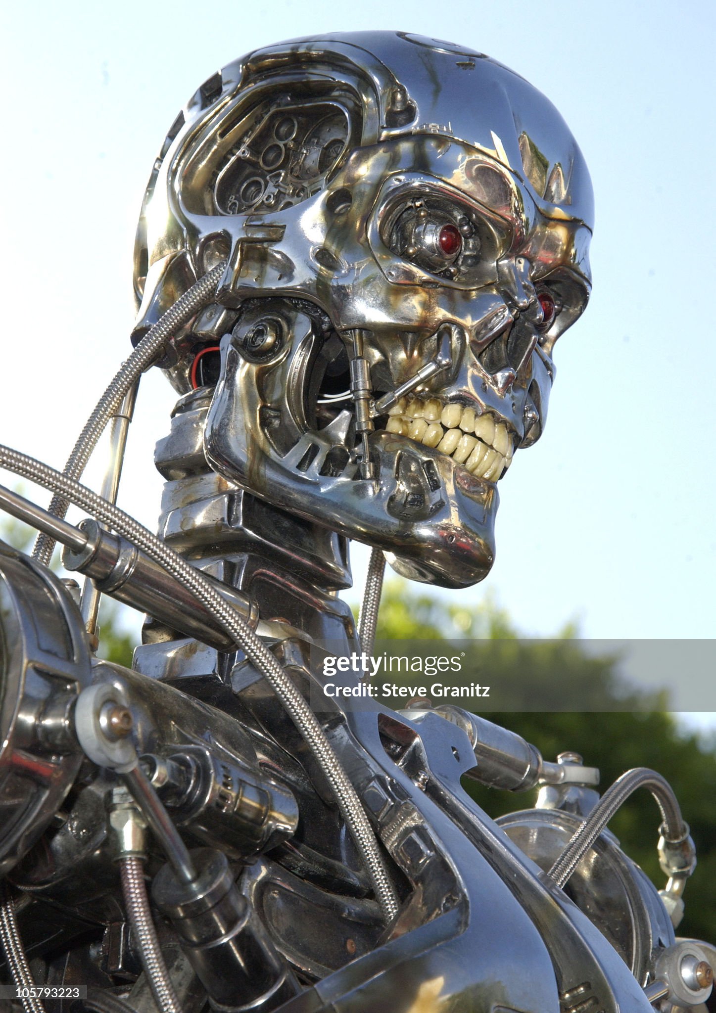 gettyimages - Terminator - Terminator 3 - Rise of the Machines - Los Angeles Premiere - Mann V...jpg