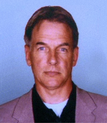 Gibbs.jpg