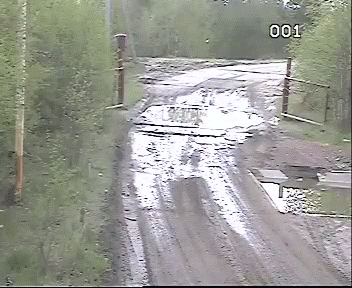 giphy (2).gif