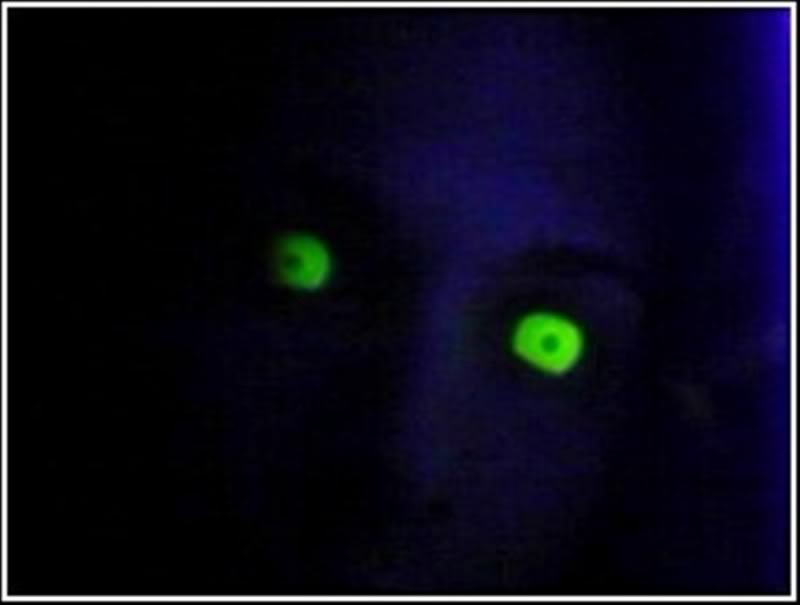 Glowingeyes.jpg