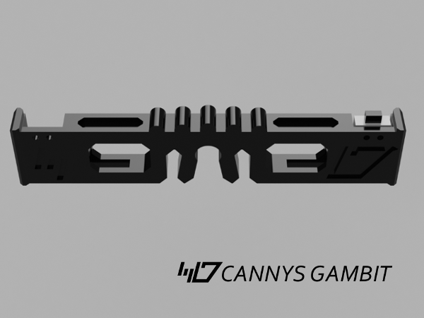 Graflex_Slot_switch_housing1.png