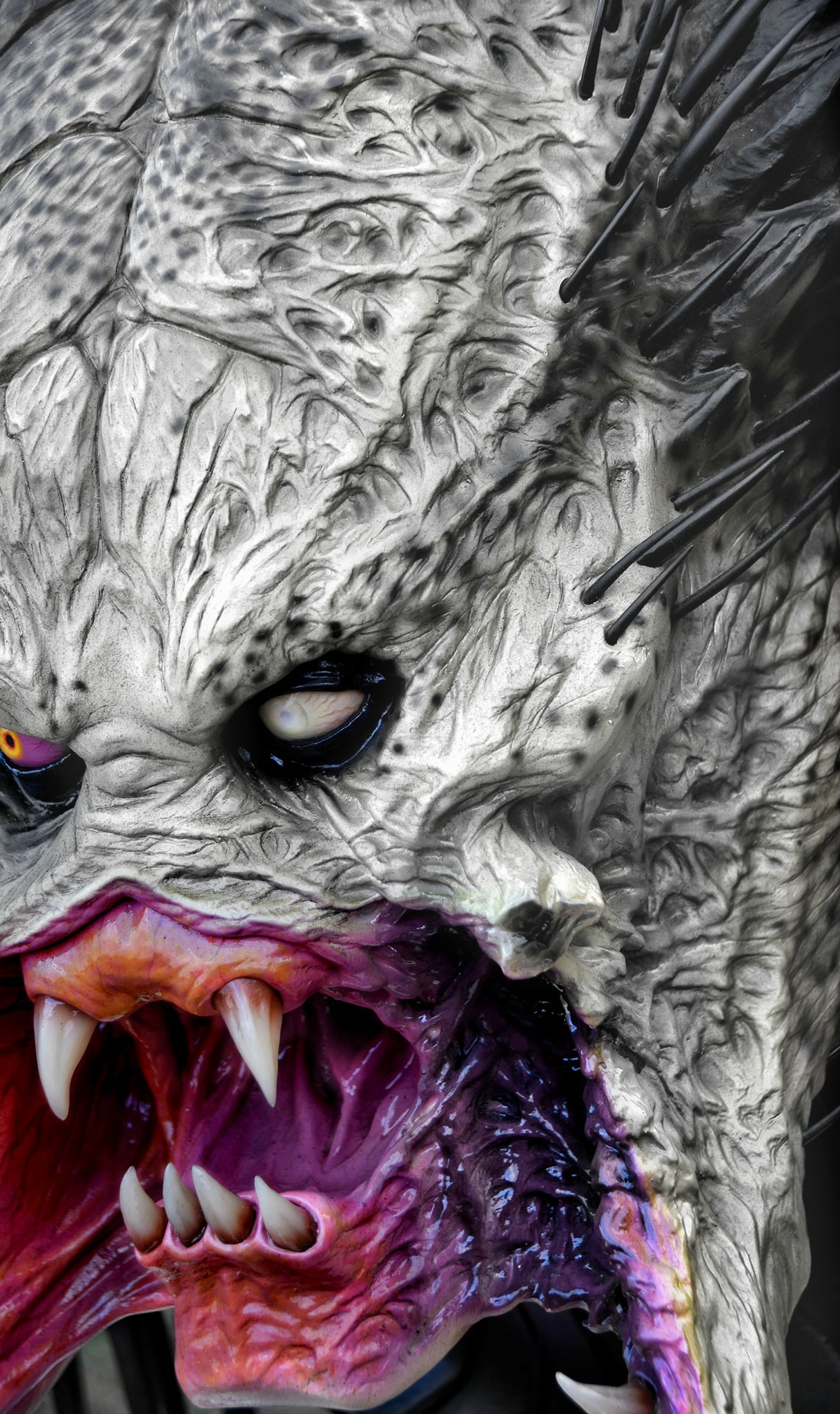 graywhitwolfd.jpg