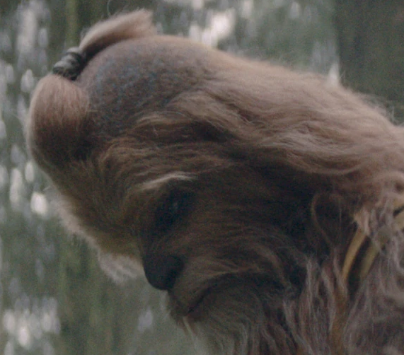 hair.png