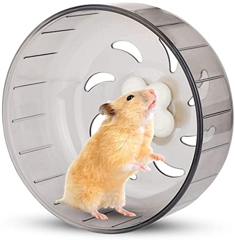 Hamster.jpg