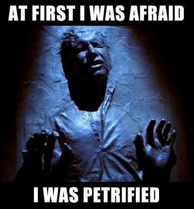 han-solo-meme.jpeg