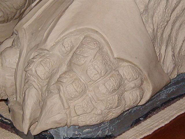 hands 001.jpg