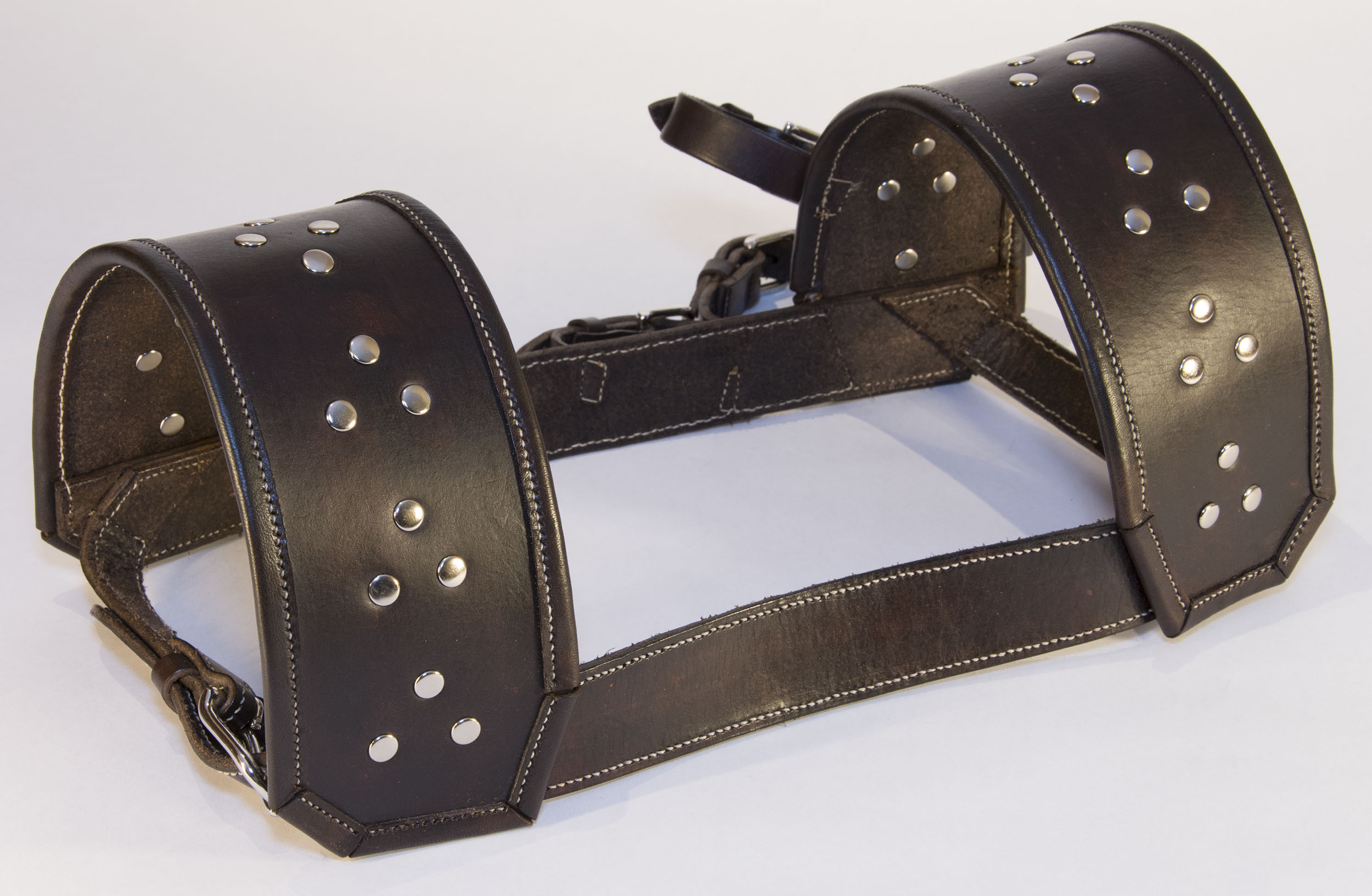 Harness Front.jpg