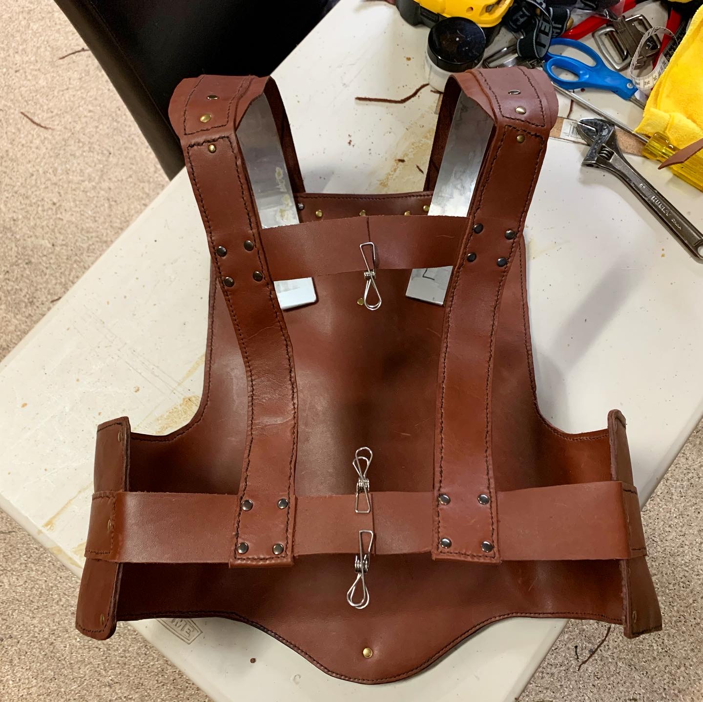 Harness Front with clips.jpeg