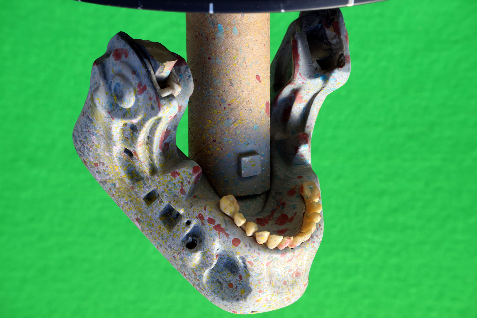HCGj_03.JPG