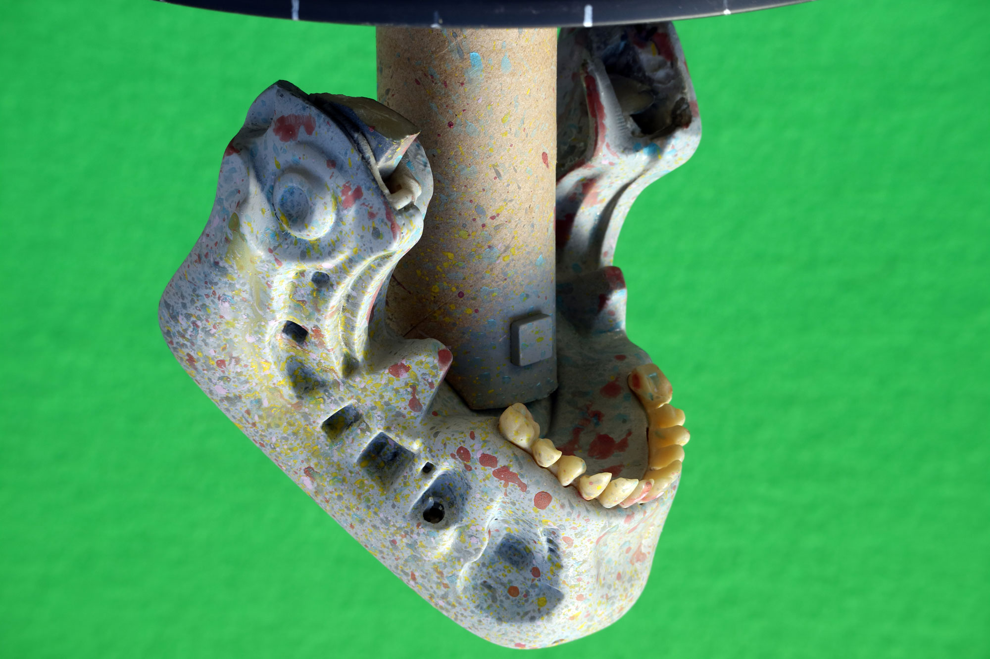 HCGj_04.JPG