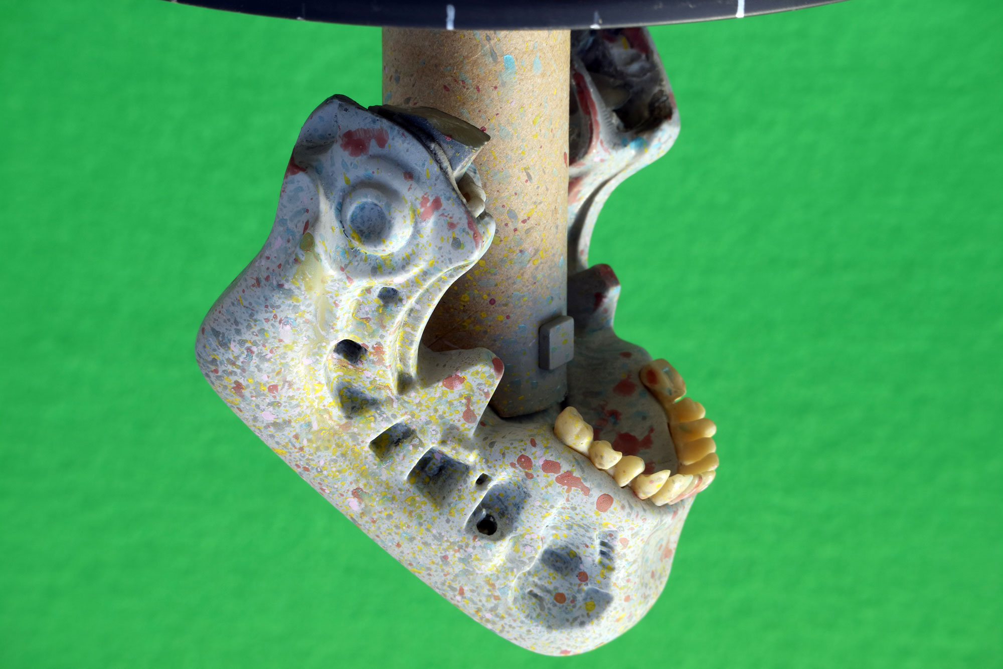 HCGj_05.JPG