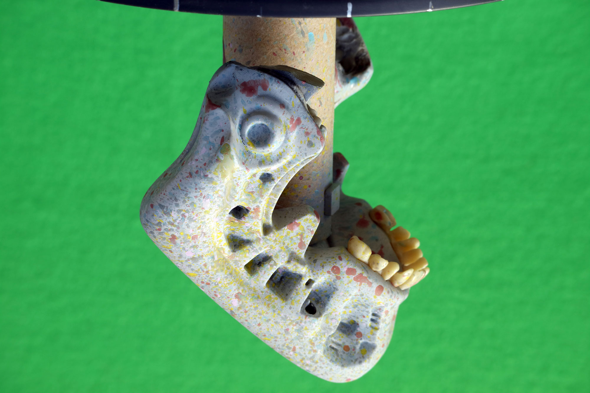 HCGj_06.JPG