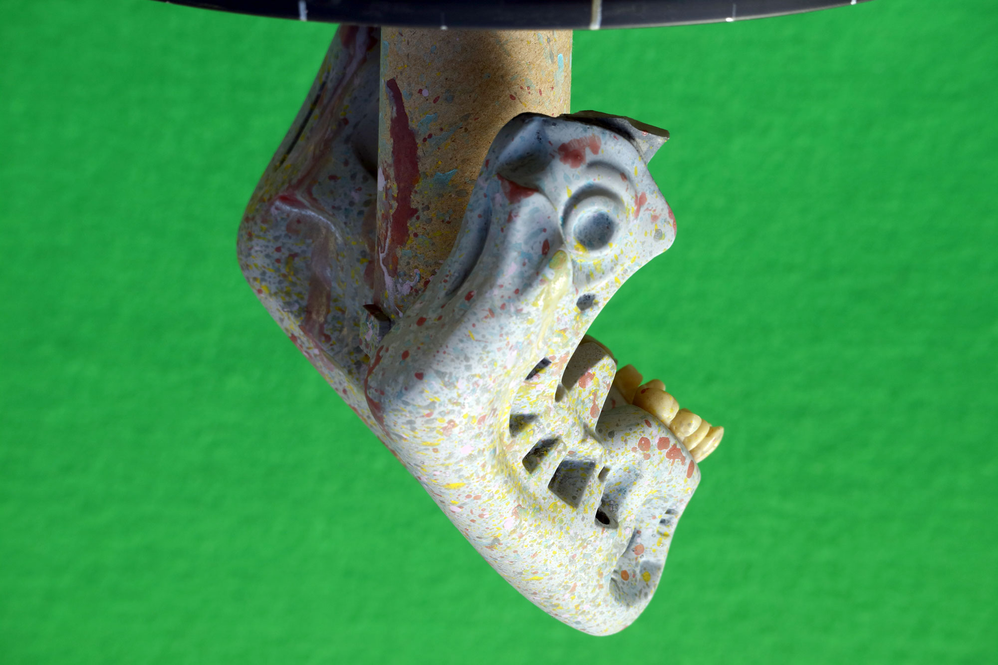 HCGj_08.JPG
