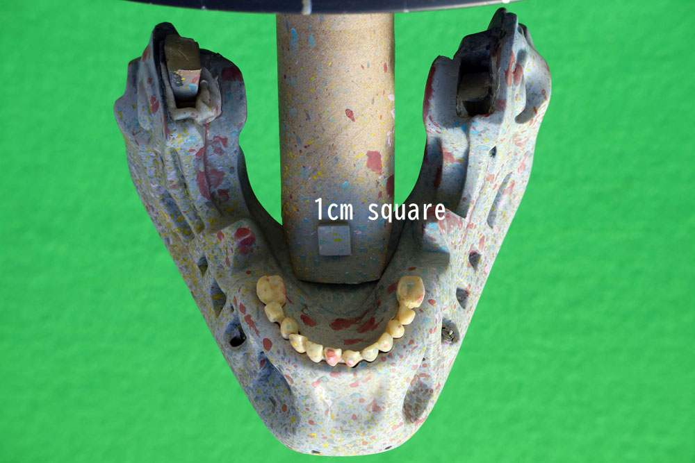 HCGj_1cm.JPG