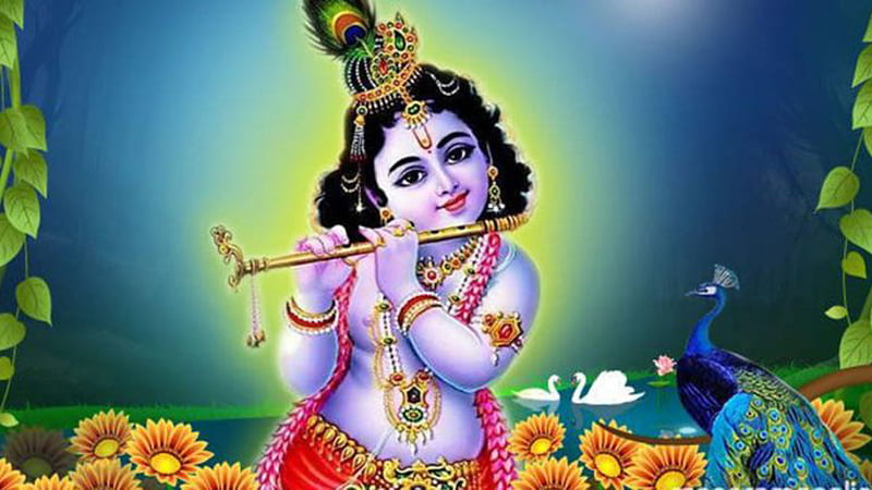 HD-wallpaper-little-krishna-with-flute-peacock-white-swans-flowers-god-krishna.jpg