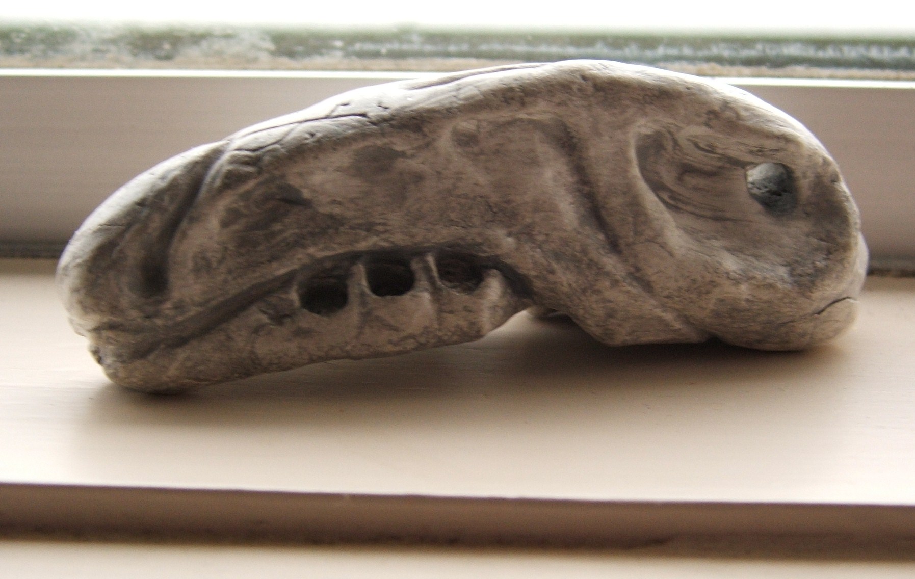 head bone.JPG