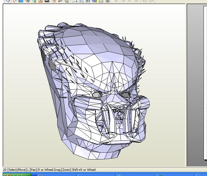 Head.JPG