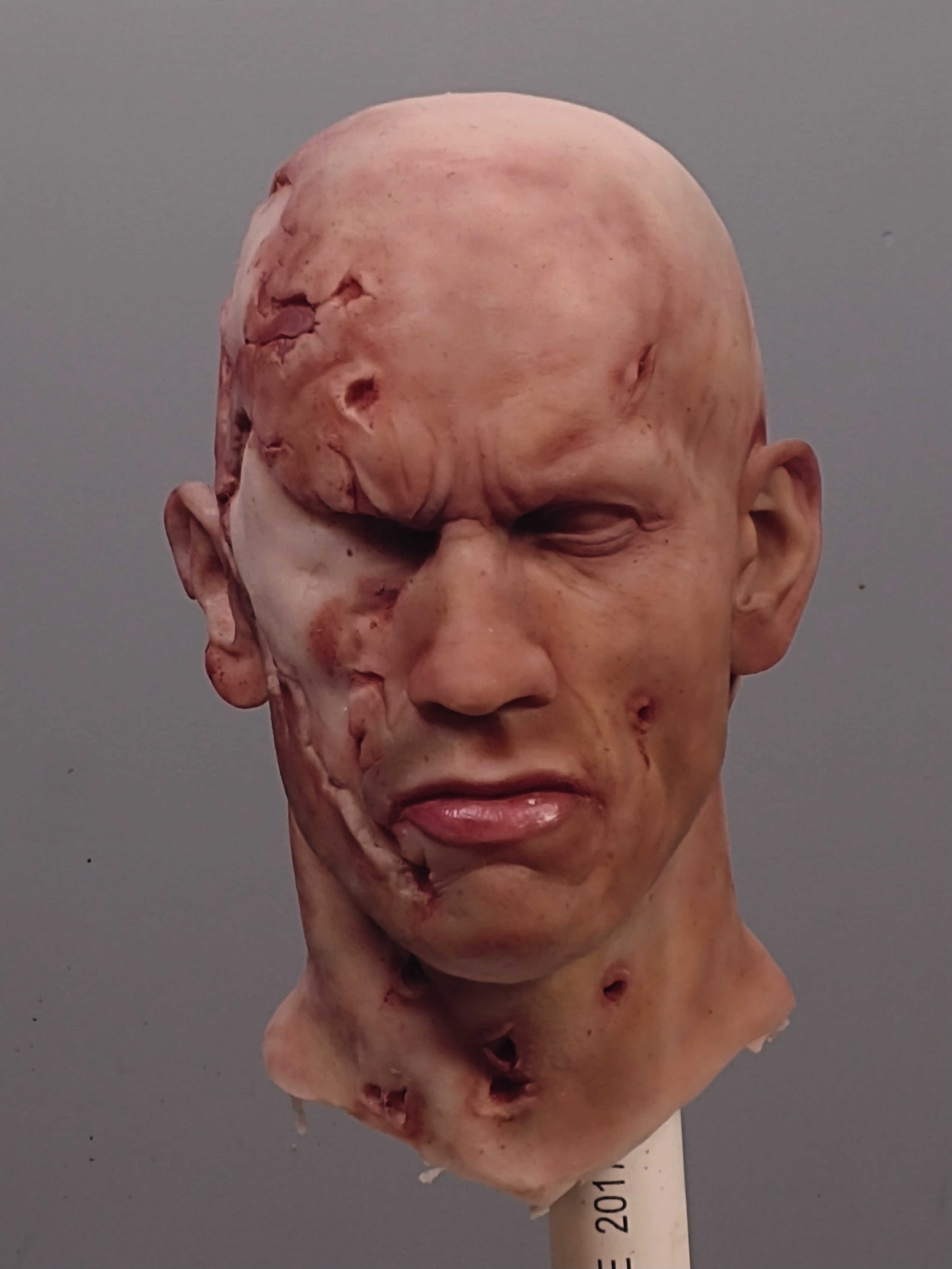 head painted.jpg