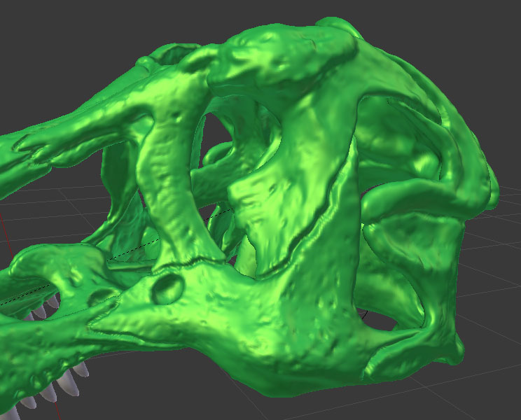 dinosaur bone replicas