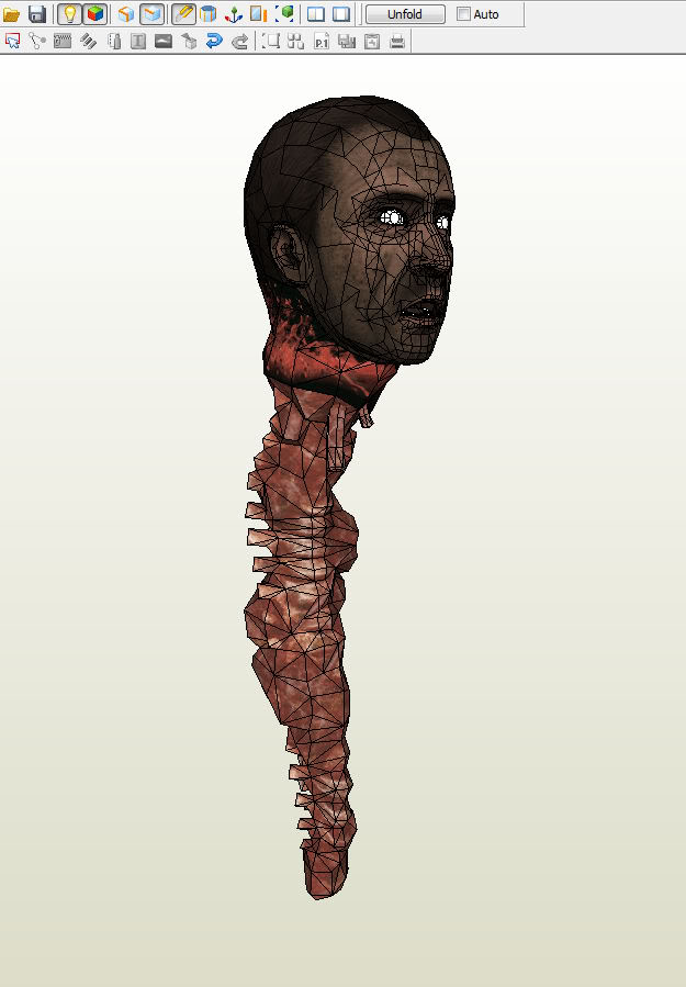 headandspine.jpg