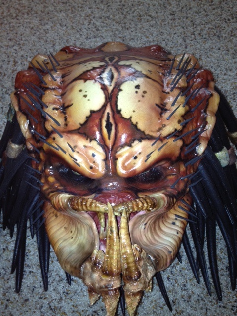 HeadDone2.jpg