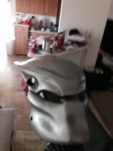 Helmet2.JPG