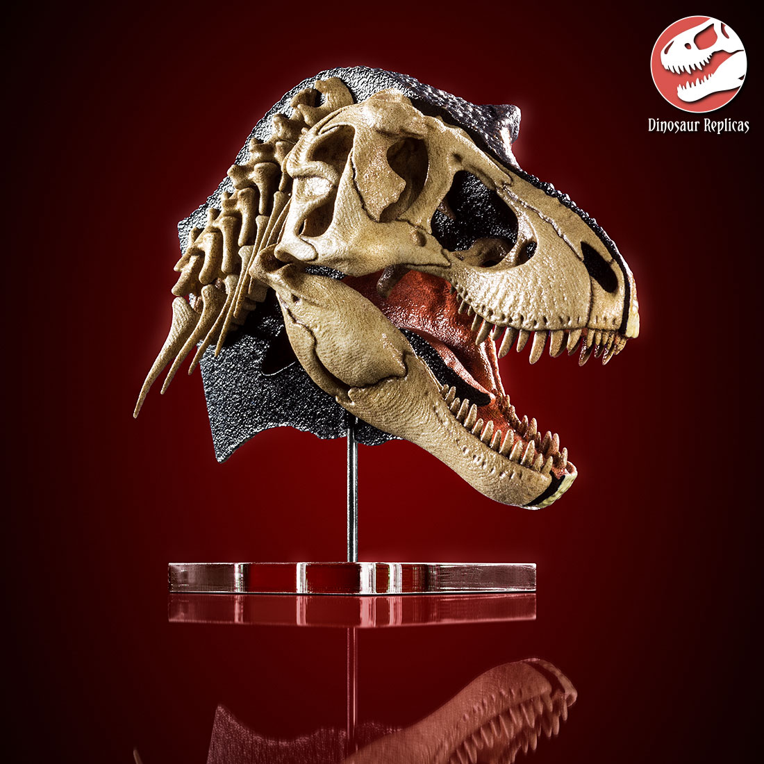 hh_bone_rex_photo_17a_by_strick67-dco2fud.jpg