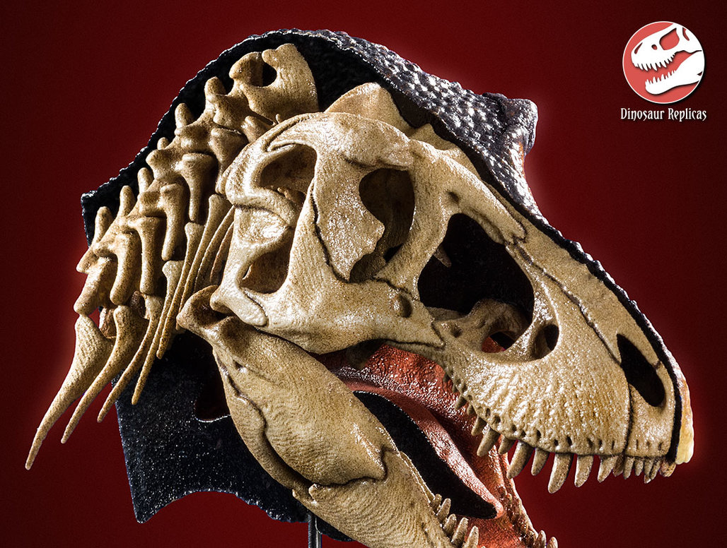 hh_bone_rex_photo_19b_by_strick67-dco2grh.jpg