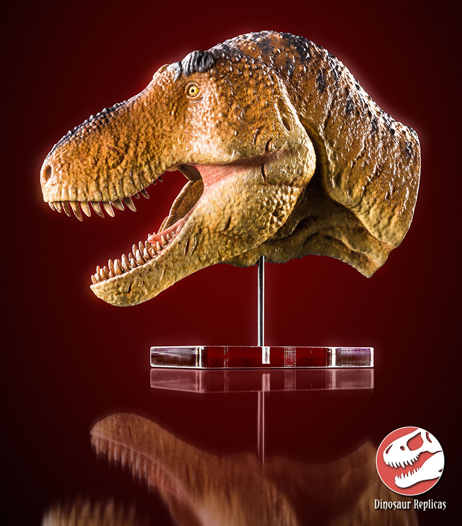 hh_flesh_rex_photo_71a_by_strick67-dco2fh0.jpg
