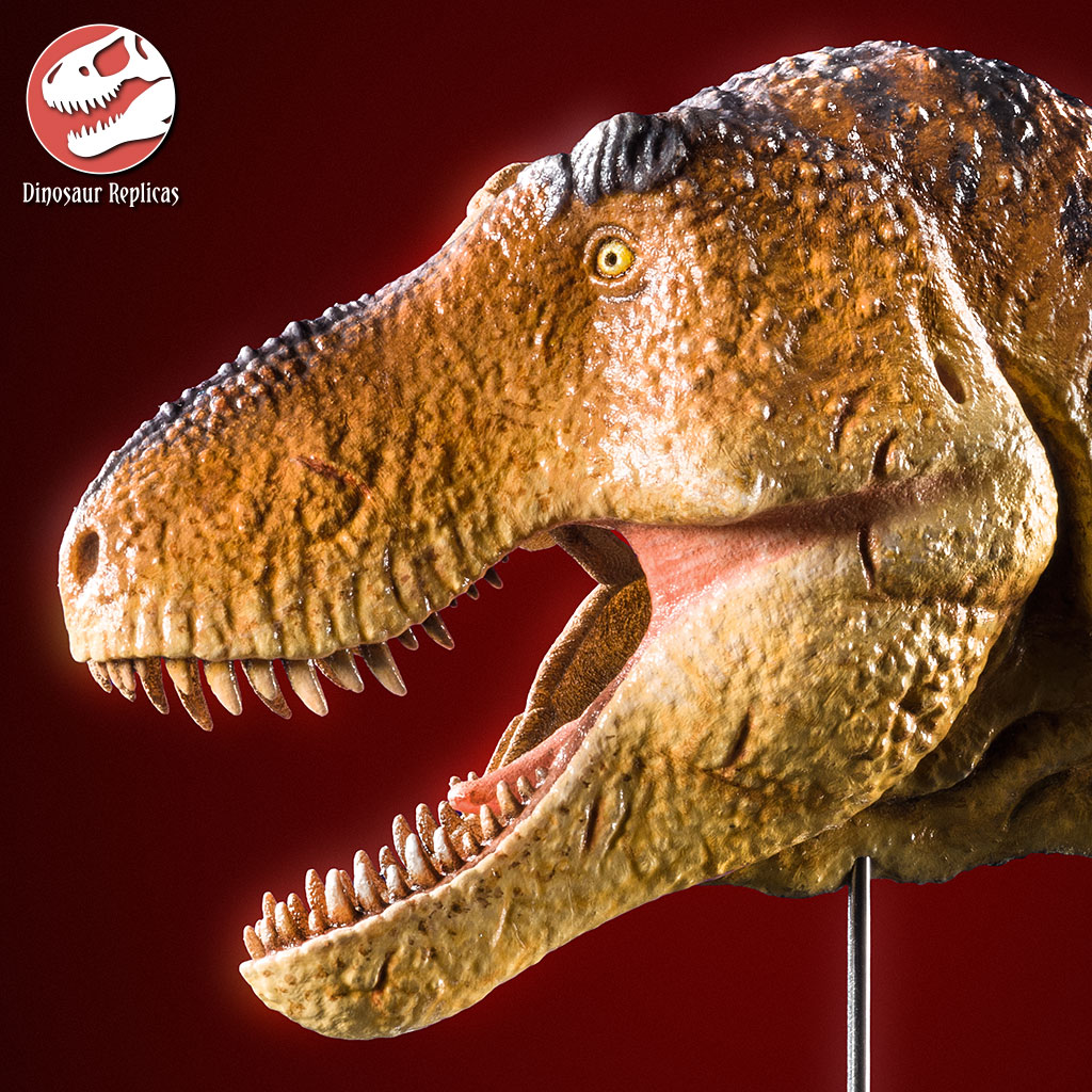 hh_flesh_rex_photo_71b_by_strick67-dco2g3f.jpg