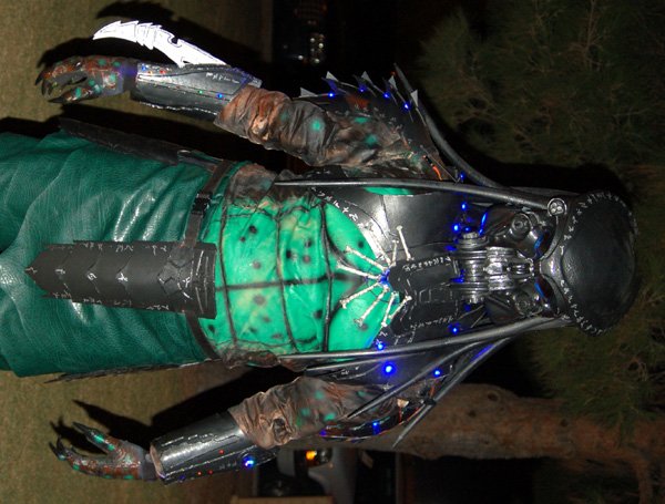 HL1.jpg