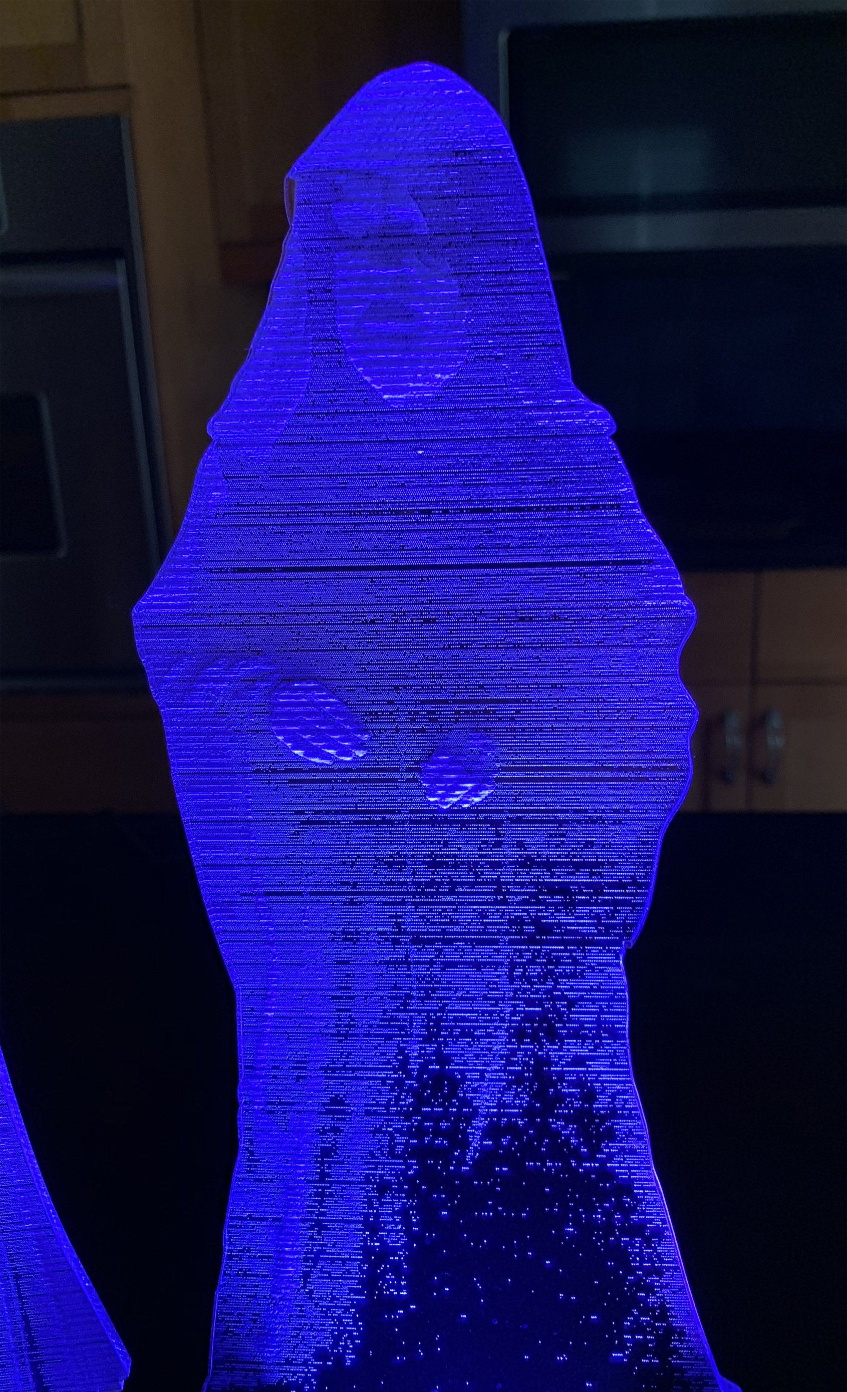 holo3.jpg