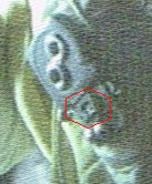 Hoth Leia 2 - Copy.jpg