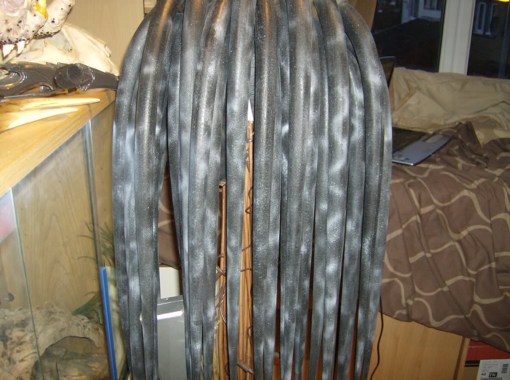 HPIM0546.jpg