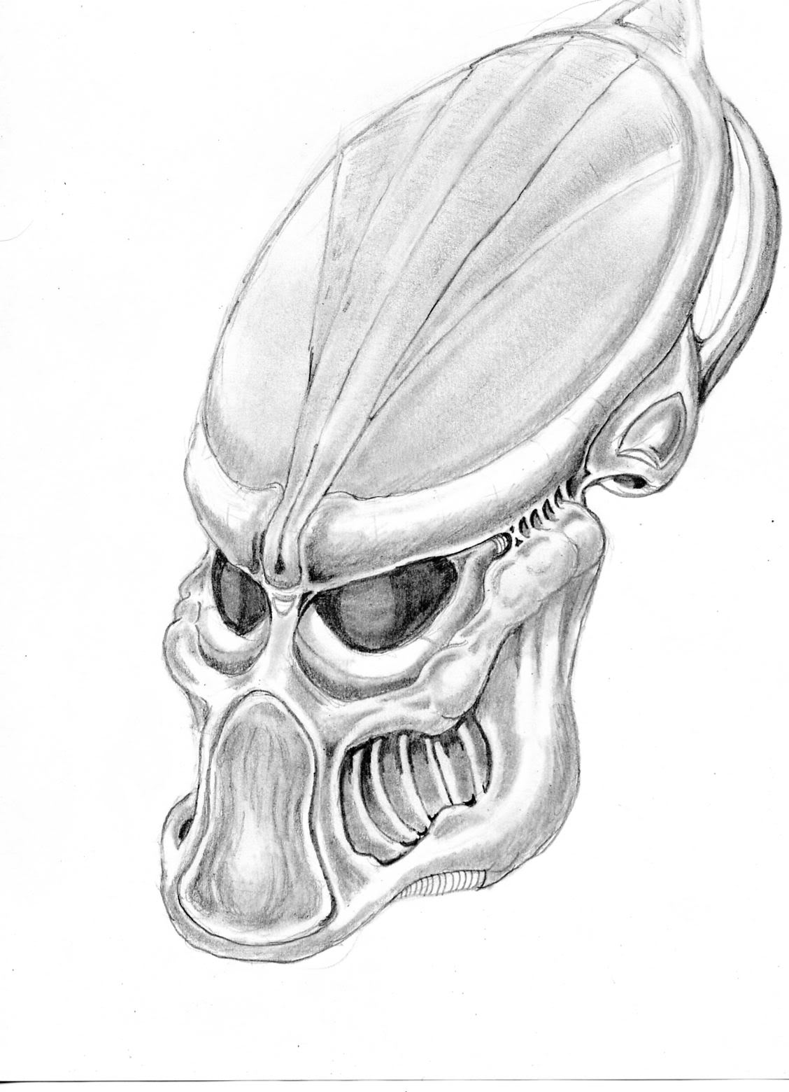 HUNTER0012.jpg