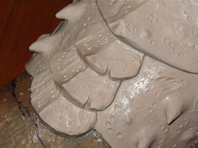 IM004910.JPG