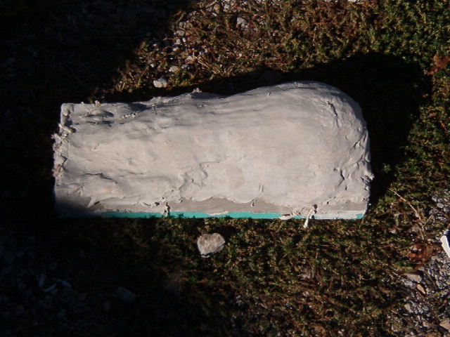 IM004915.JPG