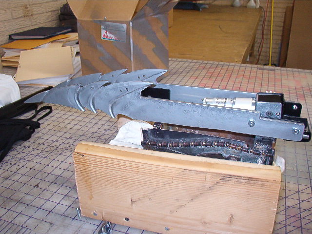 IM004957.JPG
