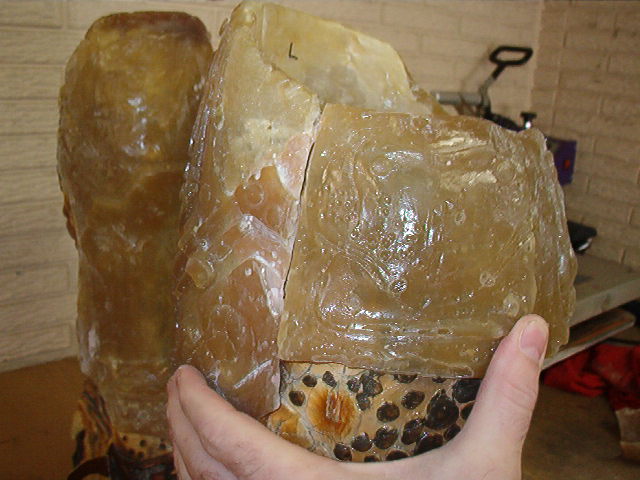 IM004975.JPG