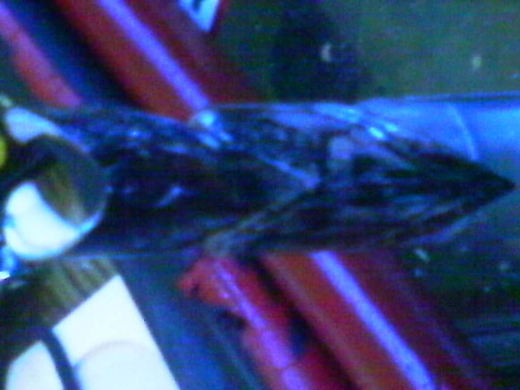 IMAG0003.jpg