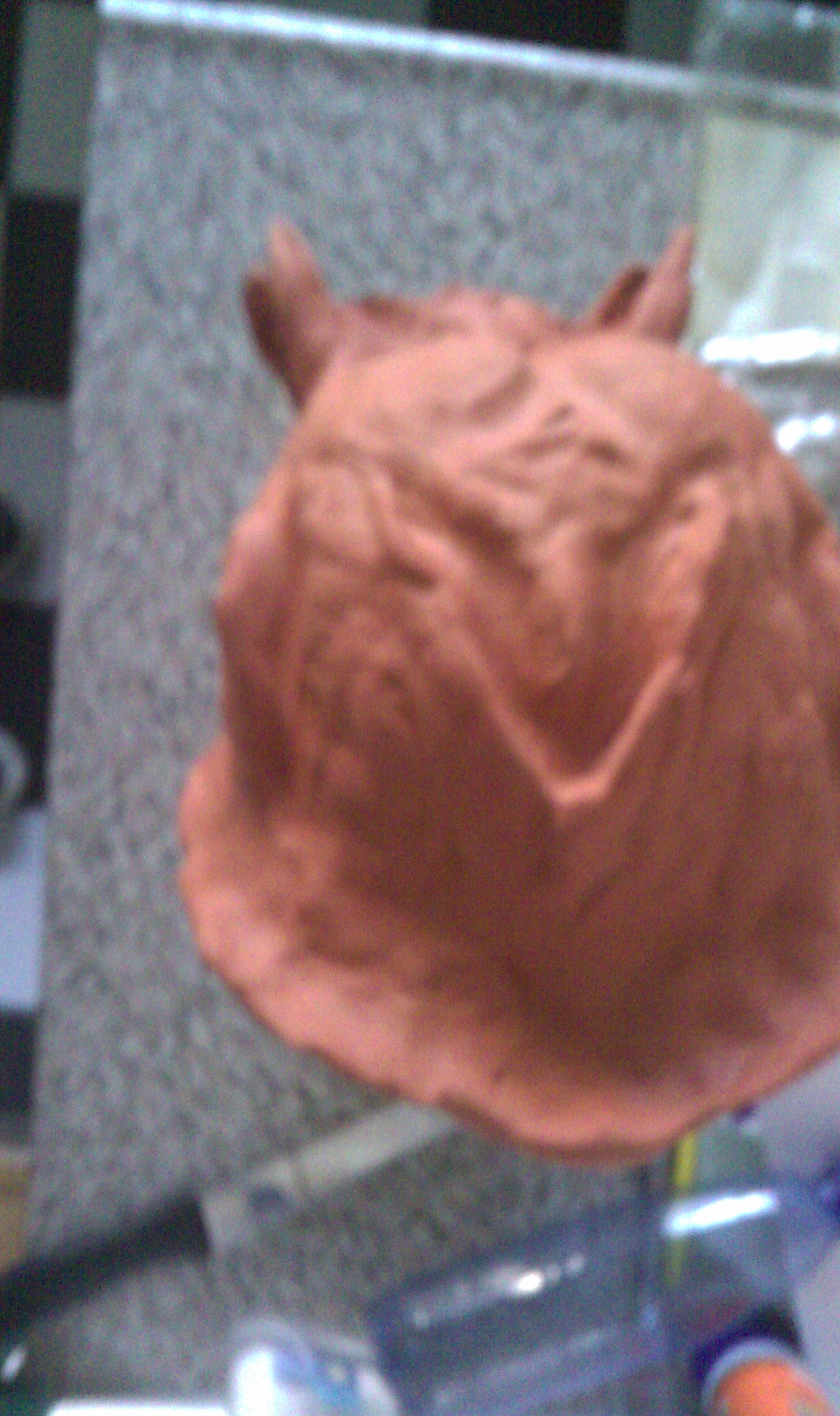 IMAG0015.jpg