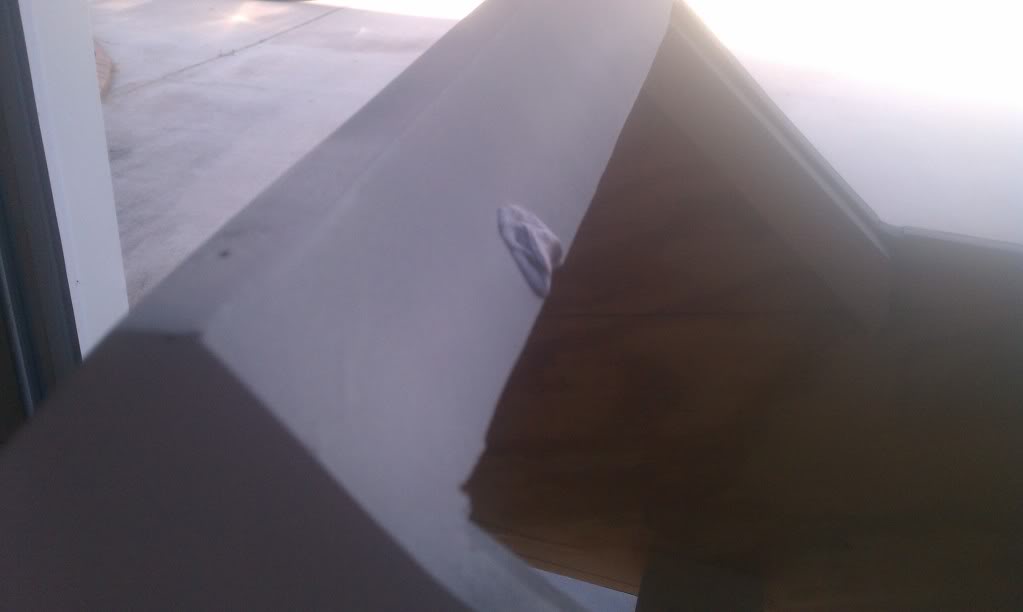 IMAG0796.jpg