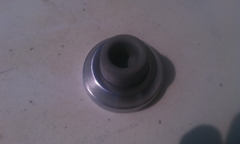 IMAG0848.jpg
